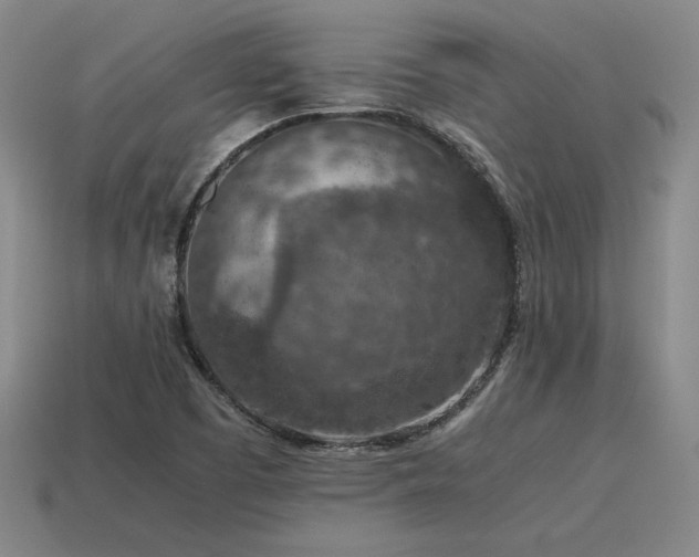 X0000115601457200911101355