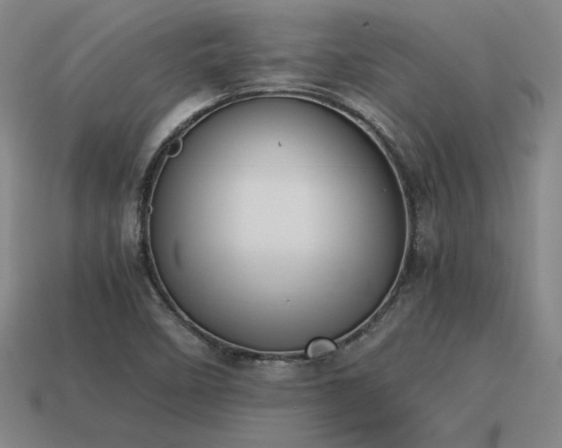 X0000115601458200911101355