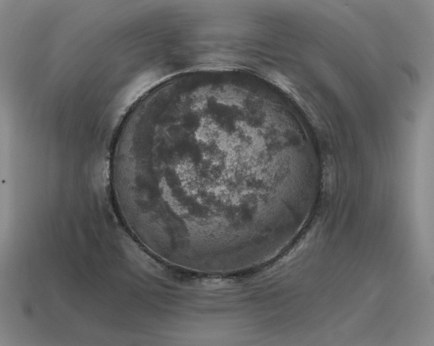X0000115601459200911101355