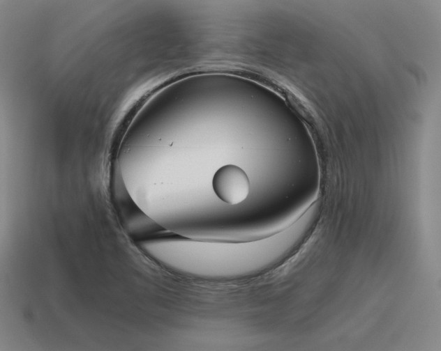 X0000115601461200911101355