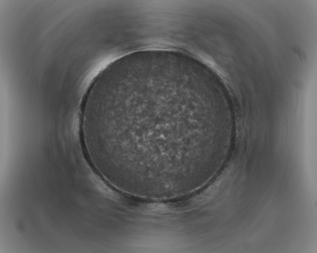 X0000115601463200911101355