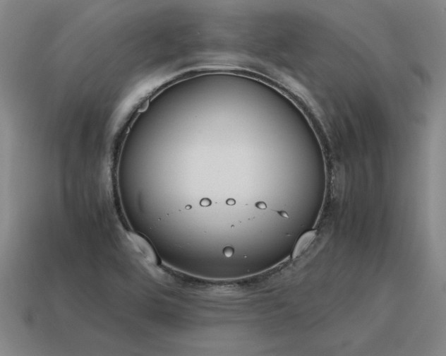 X0000115601464200911101355
