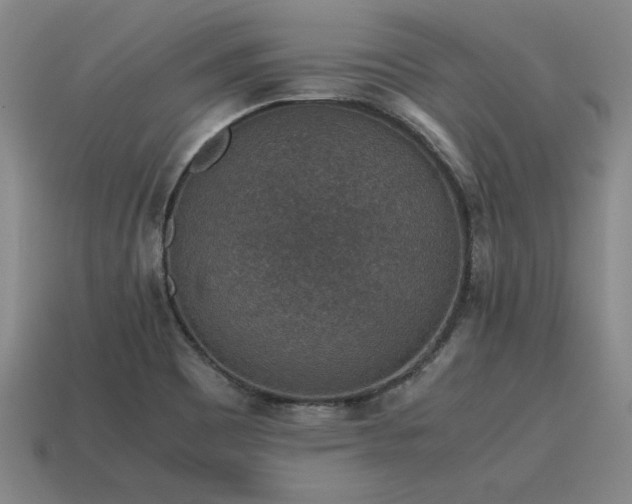 X0000115601465200911101355