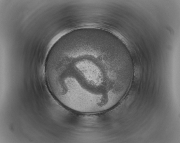 X0000115601466200911101355