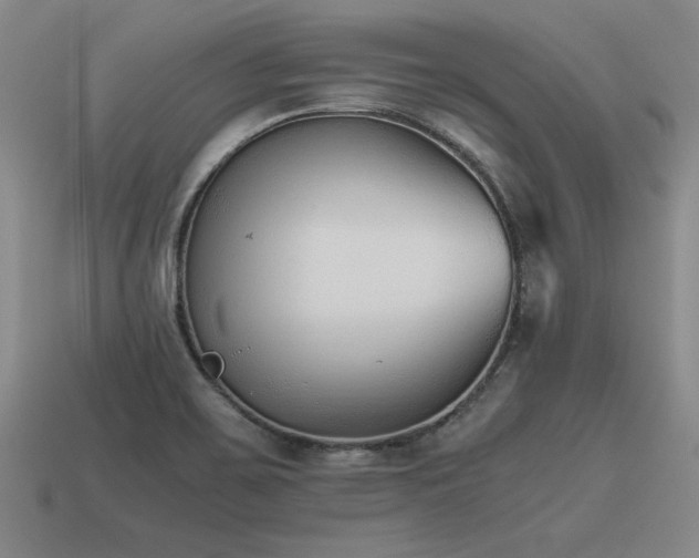 X0000115601467200911101355