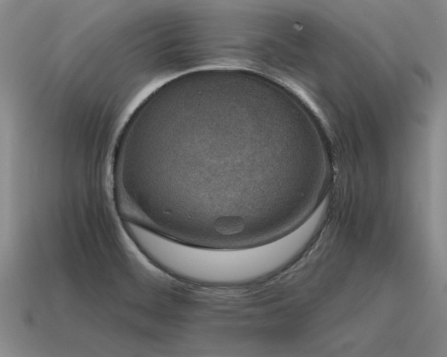 X0000115601468200911101355