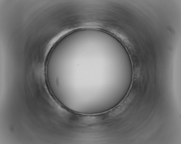 X0000115601470200911101355