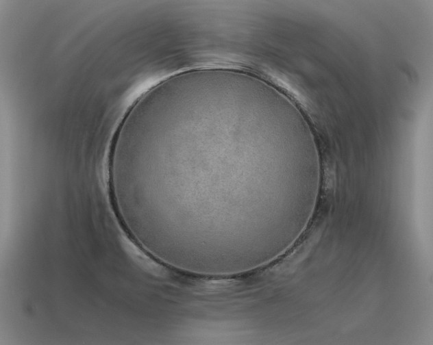 X0000115601471200911101355