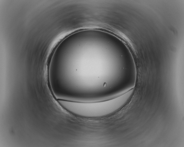 X0000115601472200911101355