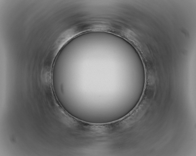X0000115601473200911101355