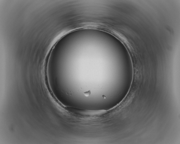 X0000115601475200911101355