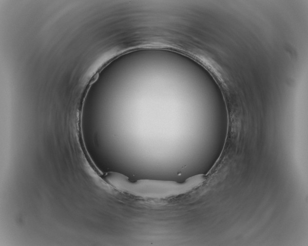 X0000115601476200911101355