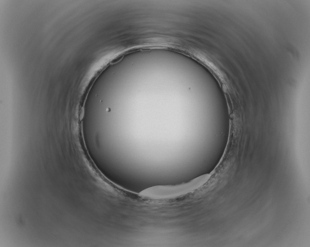 X0000115601477200911101355