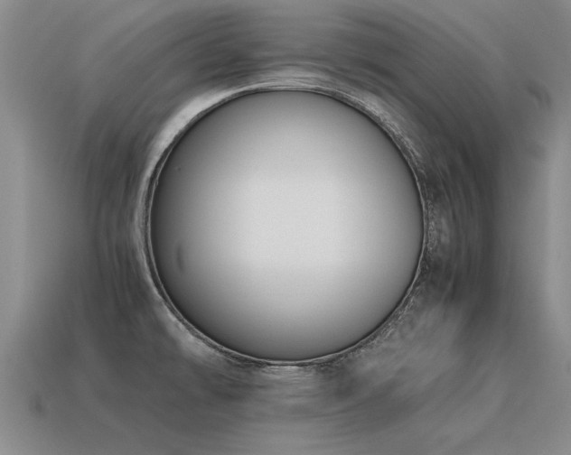 X0000115601478200911101355