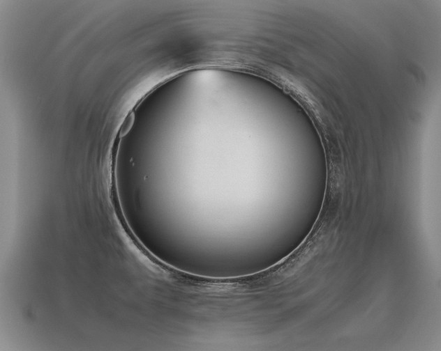 X0000115601479200911101355