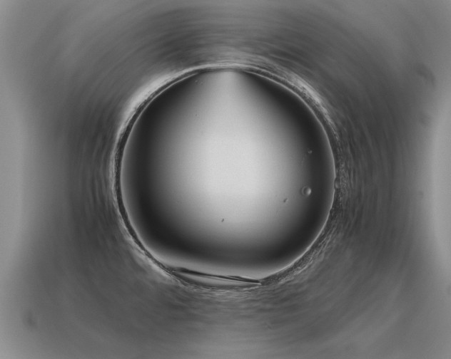 X0000115601480200911101355