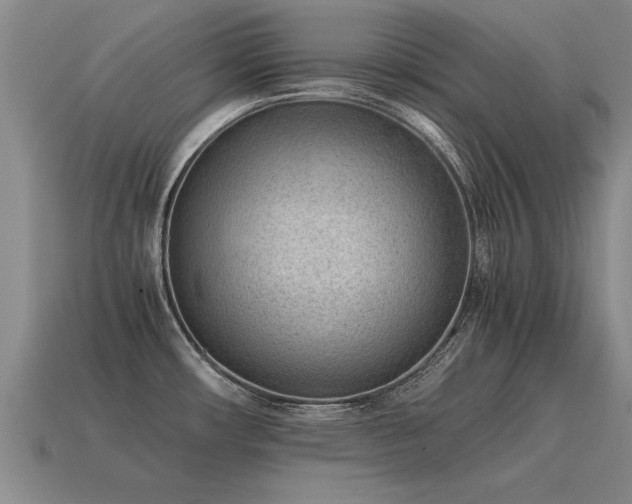 X0000115601482200911101355
