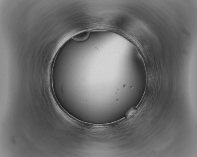 X0000115601483200911101355