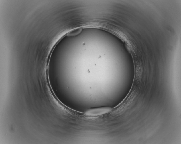 X0000115601484200911101355