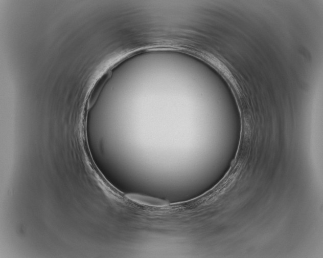 X0000115601485200911101355