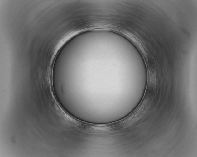 X0000115601486200911101355