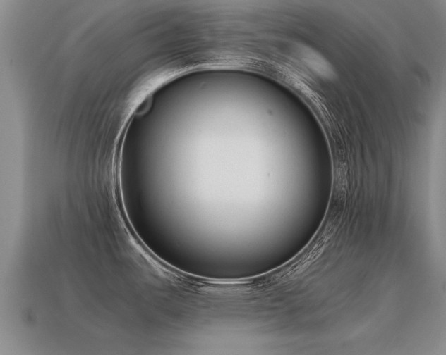 X0000115601487200911101355