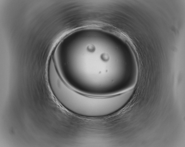 X0000115601488200911101355