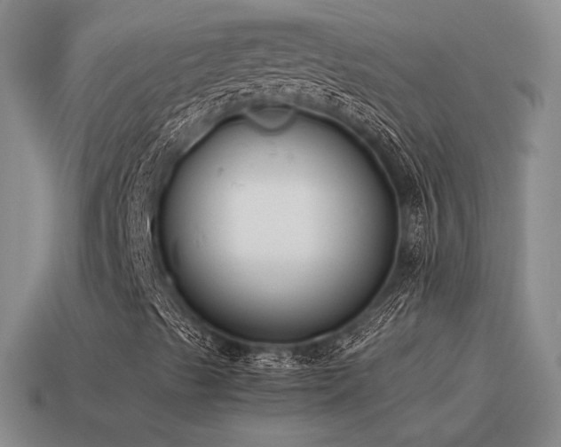 X0000115601489200911101354