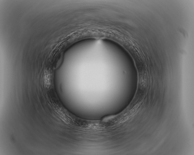 X0000115601490200911101354