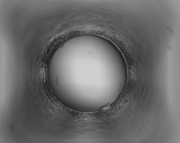 X0000115601493200911101354
