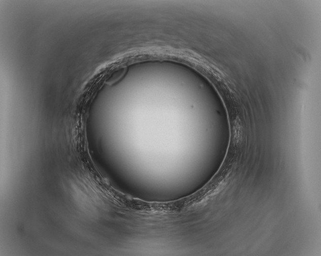 X0000115601494200911101354