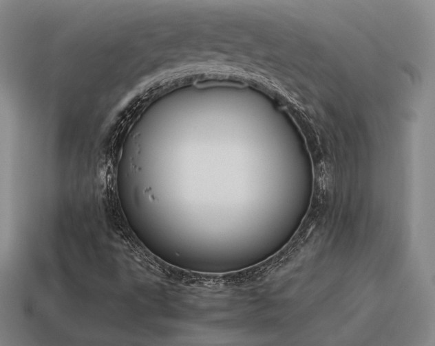 X0000115601495200911101354