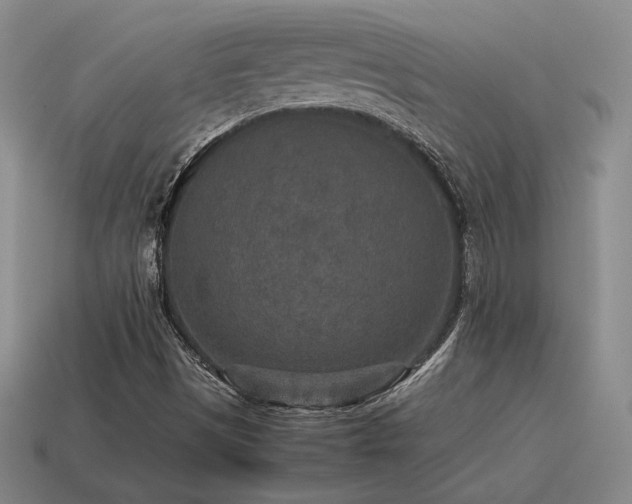 X0000115601497200911101354