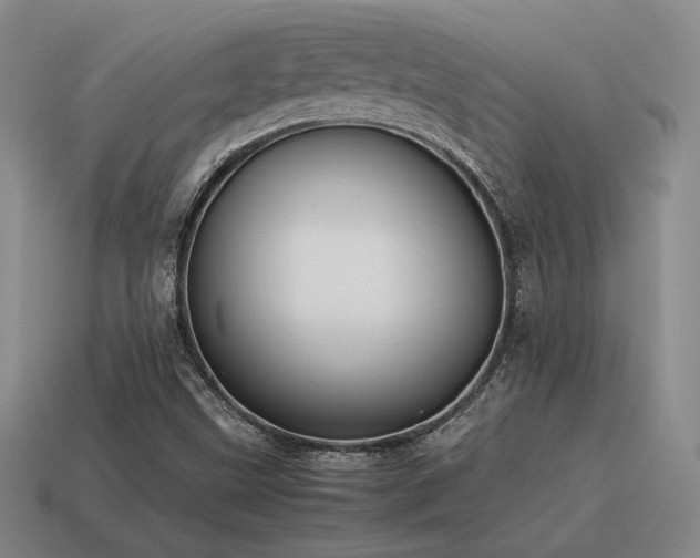X0000115601499200911101354