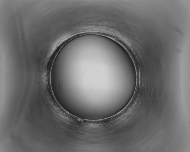 X0000115601501200911101354