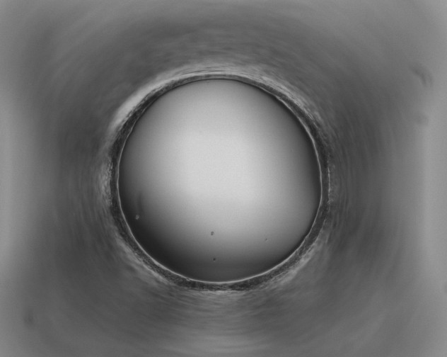 X0000115601502200911101354