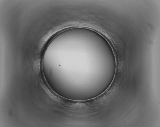 X0000115601503200911101354
