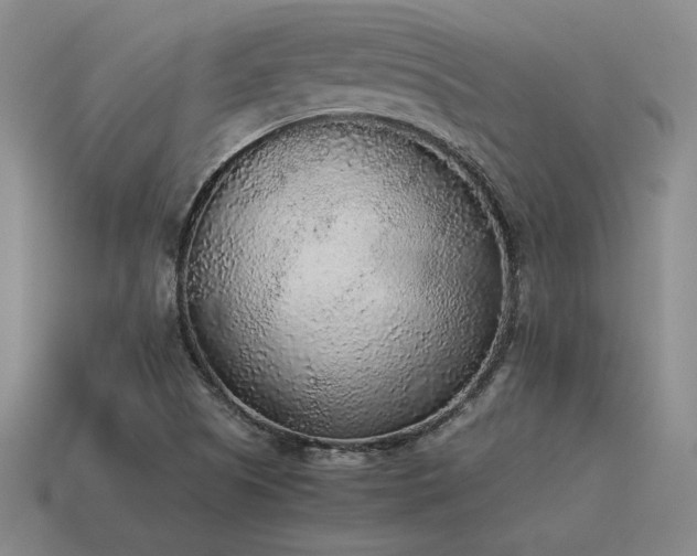 X0000115601505200911101354