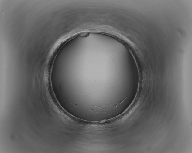 X0000115601506200911101354