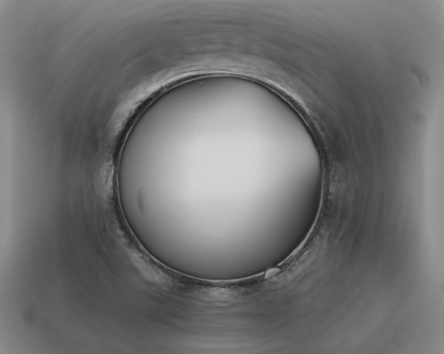 X0000115601507200911101354