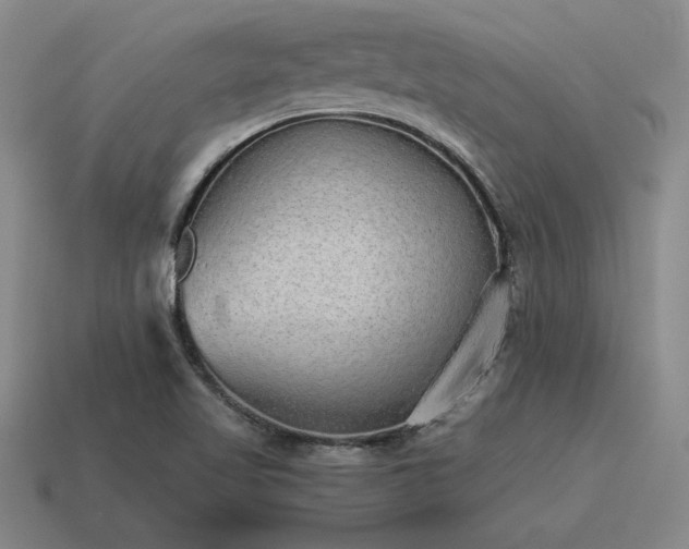 X0000115601509200911101354