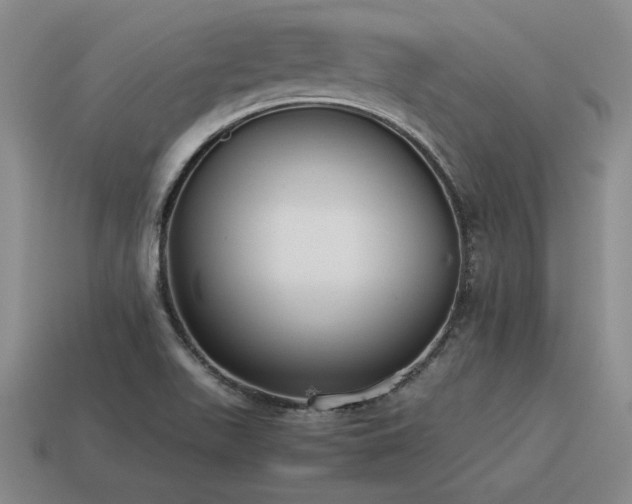 X0000115601511200911101354