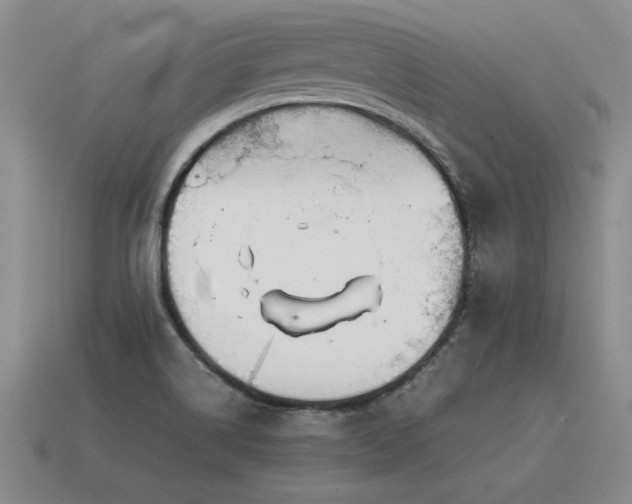 X0000115601514200911101355