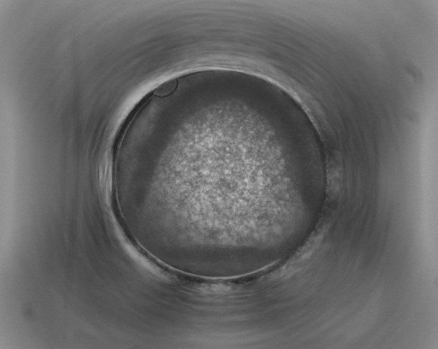 X0000115601515200911101355