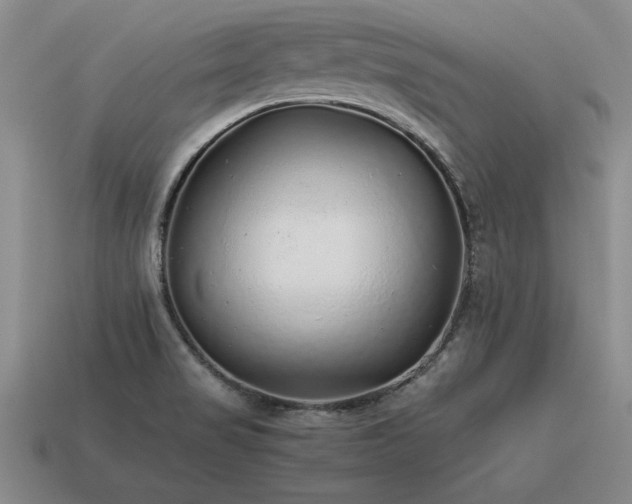X0000115601517200911101355