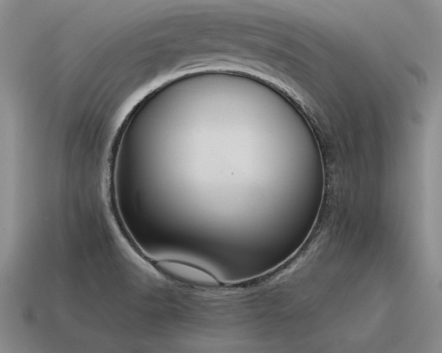 X0000115601518200911101355