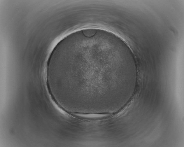 X0000115601519200911101355