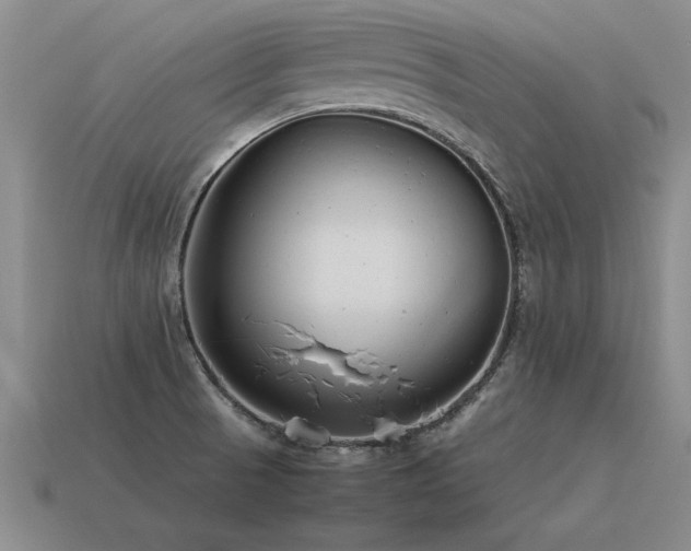 X0000115601521200911101355