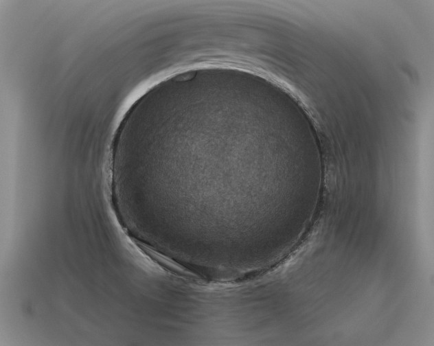X0000115601522200911101355