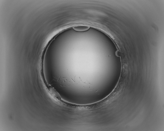 X0000115601523200911101355